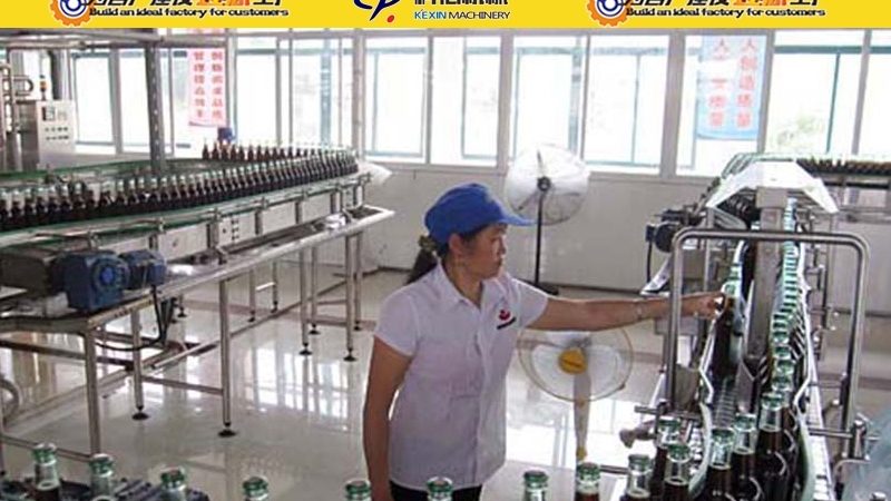 揭秘全自动食品加工设备：厂家直销背后的技术奥秘