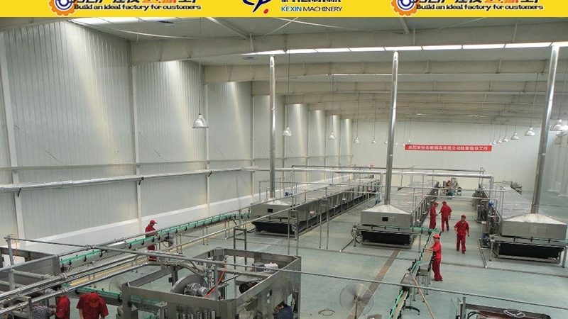 啤酒巴氏杀菌机：守护啤酒品质的“冷处理”技术